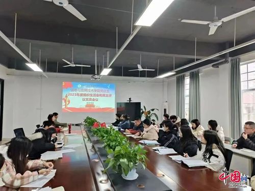 四川文化傳媒職業(yè)學院圓滿完成2023年度專題組織生活會和民主評議黨員工作