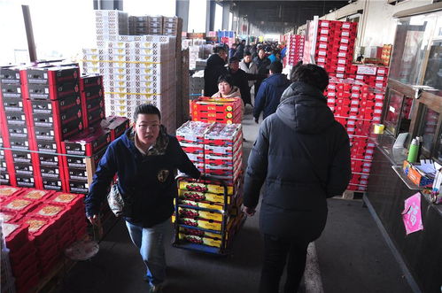 青島 春節水果市場火爆