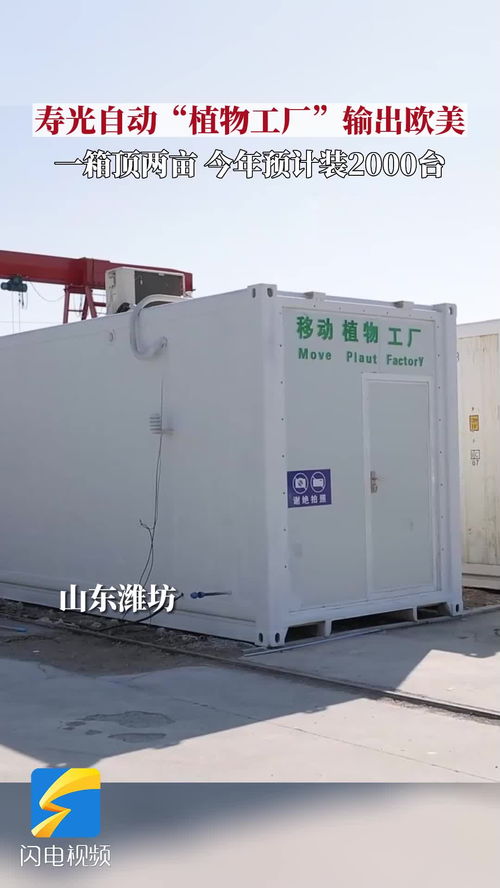 種菜果然是山東人天賦技能 壽光自動 植物工廠 輸出歐美今年預計推廣2000臺