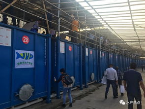 集裝箱養(yǎng)殖要火了嗎 各地的水產(chǎn)站都來(lái)觀摩,還成立了聯(lián)盟,或?qū)⒂质且粋€(gè)新風(fēng)口