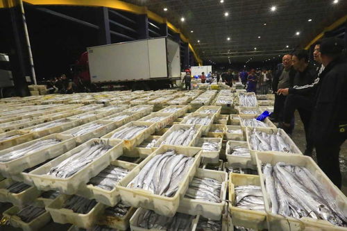 寒潮來(lái)襲，石浦水產(chǎn)城交易忙 冷鏈物流與“冰火”購(gòu)銷的春節(jié)前奏